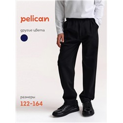 PELICAN Брюки BFPQ7045