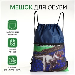Мешок для обуви на шнурке, с карманом, принтом, размер 45×1×34 см, синий/серый
