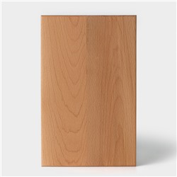 Доска разделочная Adelica «Профессиональная», 40×25×2.5 см, дерево бук