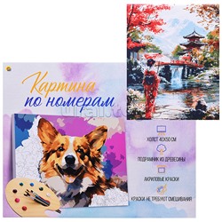 Холст с красками 40x50 по номерам "Девушка в японском саду" в коробке (30цв.)