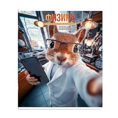 Тетрадь  48л "СЕЛФИ" по физике 69837 Феникс