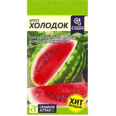 Арбуз Холодок Сем.Алтая