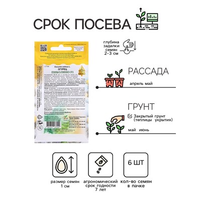 Семена Огурец «Пиколино F1», 6 шт., «Дом семян»