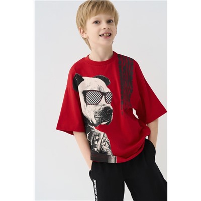 Фуфайка трикотажная для мальчиков (футболка) PLAYTODAY, 1243134