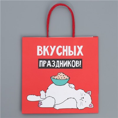 Пакет подарочный новогодний крафтовый «Праздники», 22×22×11 см