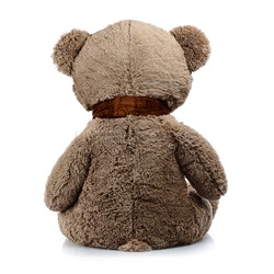 Медведь Тони с шарфом В150 бурый