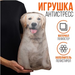 Антистресс игрушка, собака «Лабрадор»