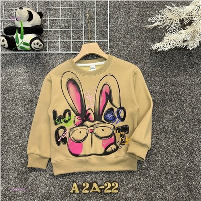 кофта с начесом 2050755-5