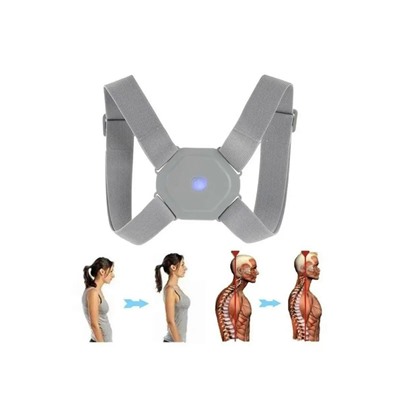 Корректор #23098362