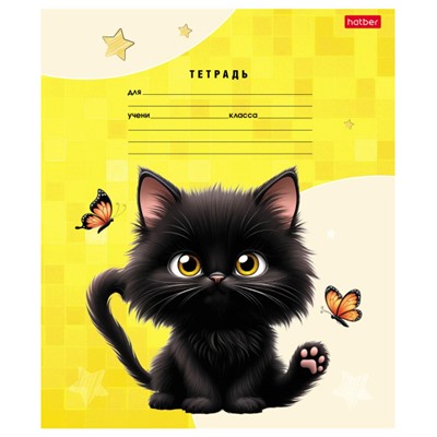 Тетрадь  18л линия "Черный котик" (091440) Хатбер
