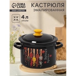 Кастрюля эмалированная «Карри», 4 л, d=21.3 см, с крышкой, цилиндрическая, чёрная