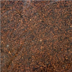 Семена Фацелия «Рецепты дедушки Никиты», 1 кг