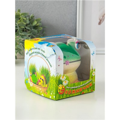 Набор для выращивания «ЭкоЖивчик. Лягушка Ква», фигурка растущая в подарочной упаковке