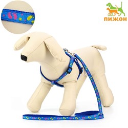 Комплект «Цветные следы», ширина 1 см, поводок 120 см, шлейка 23-35 см, синий