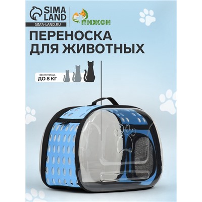 Переноска для животных, 42×32×28 см, прозрачная, голубая