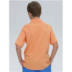 BFTP4321/1 (Футболка для мальчика, Pelican )