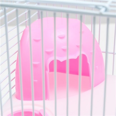 Клетка для грызунов «Пижон», 23×17×26 см, эмаль, белая