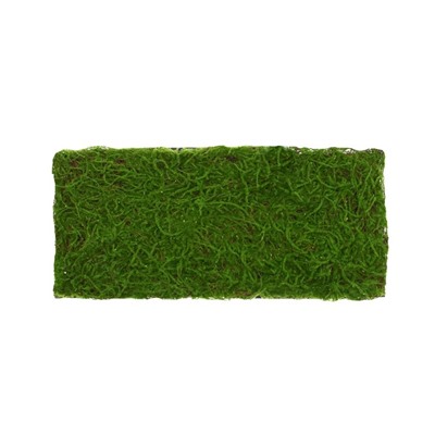Декоративная панель, 90×40 см, «Мох», Greengo