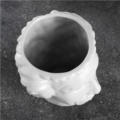 Декоративное кашпо для цветов «Эйнштейн», 1.6 л, 16×15 см, керамическое, белое