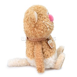 Кофейные коты Раф