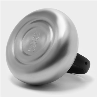 УЦЕНКА Чайник со свистком 3 л Magistro, Glow, серебро, индукция, ручка soft-touch=