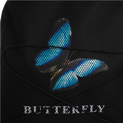 Рюкзак школьный текстильный со шнуровкой BUTTERFLY, 38×29×11 см, чёрный