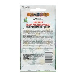 Семена цветов Цинния георгиноцветковая "Фиолетовая королева" 0,4 г