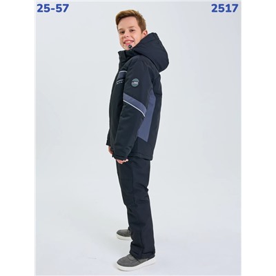 Костюм 2517 серый