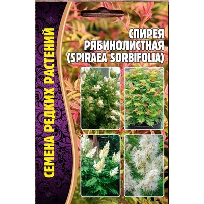 Спирея Рябинолистная (Редкие)