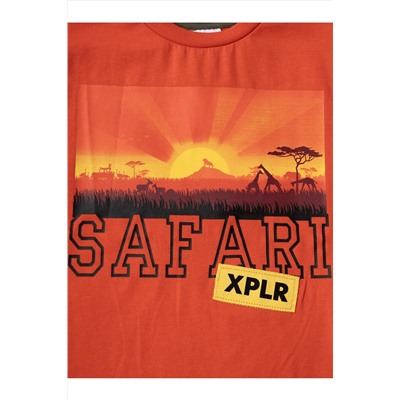 Фуфайка трикотажная для мальчиков (футболка) PLAYTODAY, 1239802