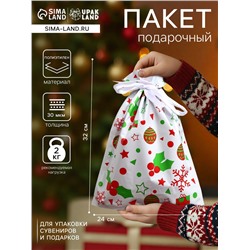 Пакет подарочный новогодний с завязками, «Ассорти», 24×32 см