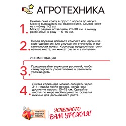 Семена Кориандр "Бородинский", 5 г