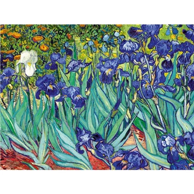 Алмазная мозаика с полным заполнением на холсте «Ирисы», 30×40 см