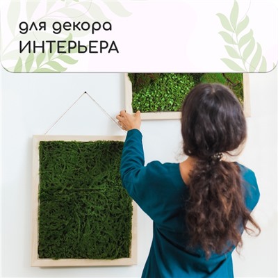 Декоративная панель, 90×40 см, «Ряска», Greengo