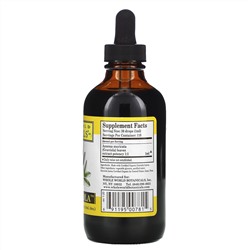 Whole World Botanicals, Королевское сметанное яблоко, для поддержки иммунитета, 4 унции (120 мл)