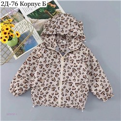 ветровка 1975757-1