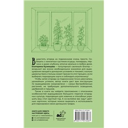 АСТ Екатерина Кузнецова "Огород на подоконнике. Идеальный урожай не выходя из дома"