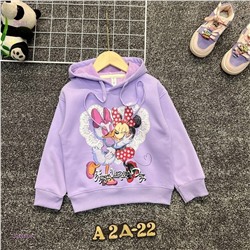 кофта с начесом 2058351-2