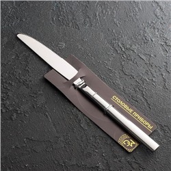 Нож столовый Magistro Line, длина 23 см, нержавеющая сталь, серебристый