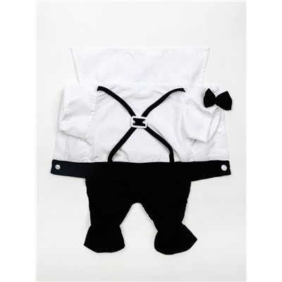 Костюм для животных «Джентельмен», размер S (ДС 25, ОГ 35 см)