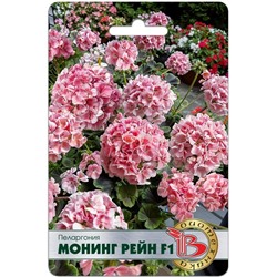 Пеларгония Монинг Рейн F1 (Биотехника)