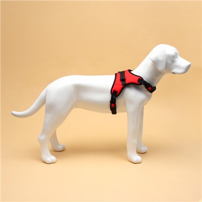 Шлейка К7, размер L, ОГ 64-86 см, вес 18-27.5 кг, мягкая, светоотражающая, красная