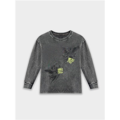 ЛОНГСЛИВ ДЛЯ МАЛЬЧИКОВ 123434/1