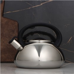 УЦЕНКА Чайник со свистком Доляна «Квант», 2.8 л, фиксированная ручка, цвет чёрный