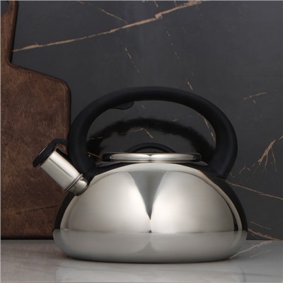 УЦЕНКА Чайник со свистком Доляна «Квант», 2.8 л, фиксированная ручка, цвет чёрный