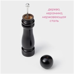 Мельница для специй Доляна «Дуновение леса», 21×4.5 см, керамический механизм, чёрная