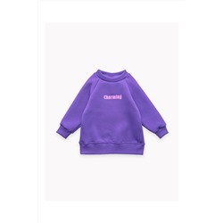 Толстовка футер начёс Дэйзи 30101