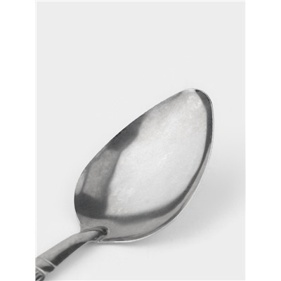 Набор столовых ложек Доляна «Снежная королева», длина 19.7 см, набор 12 шт., нержавеющая сталь, серебристый