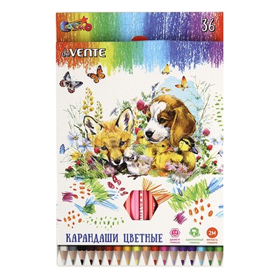 Карандаши цветные 36 цв. "Cosmo" 2М, диаметр грифеля 2,8 мм, шестигранные, в картонной коробке