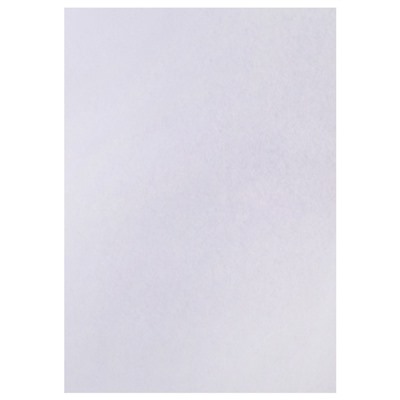 Набор 5 листов, ватман, чертежный, А0, 840×1189, 160 г/м²